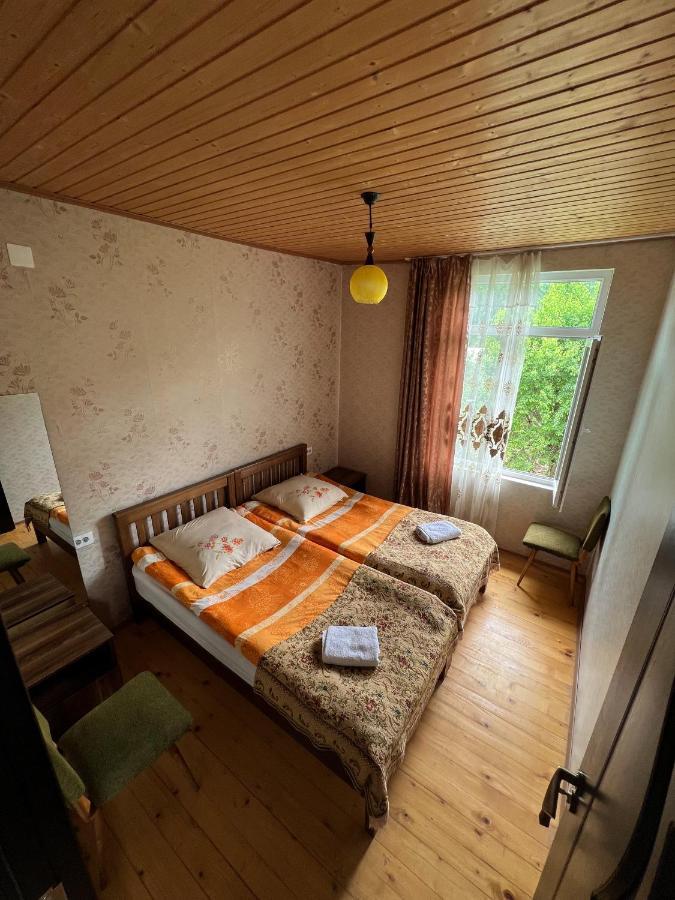 Barbara'S Eco-Cozy Guesthouse Mestia Dış mekan fotoğraf