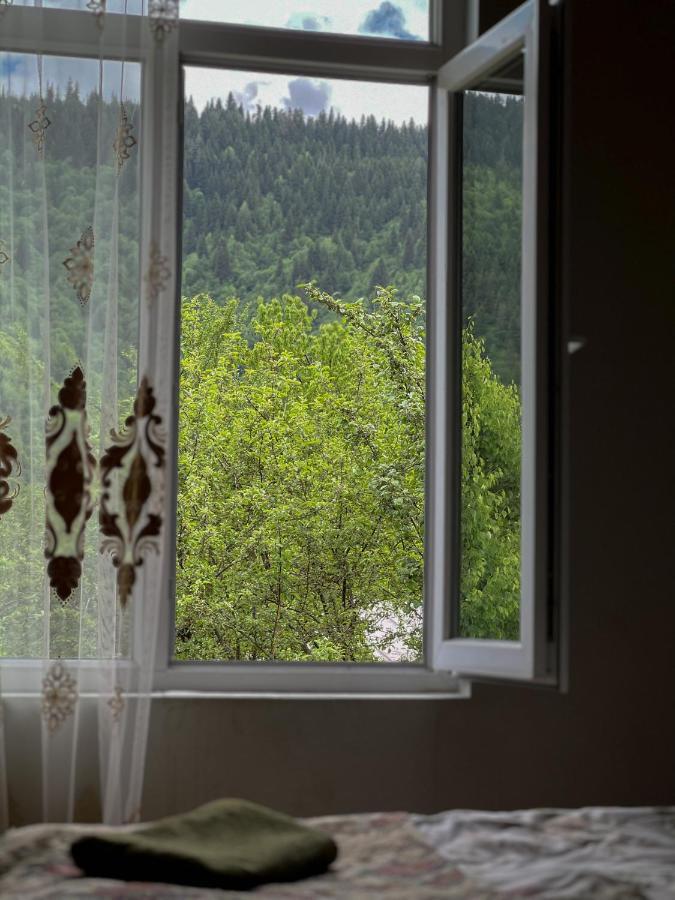Barbara'S Eco-Cozy Guesthouse Mestia Dış mekan fotoğraf