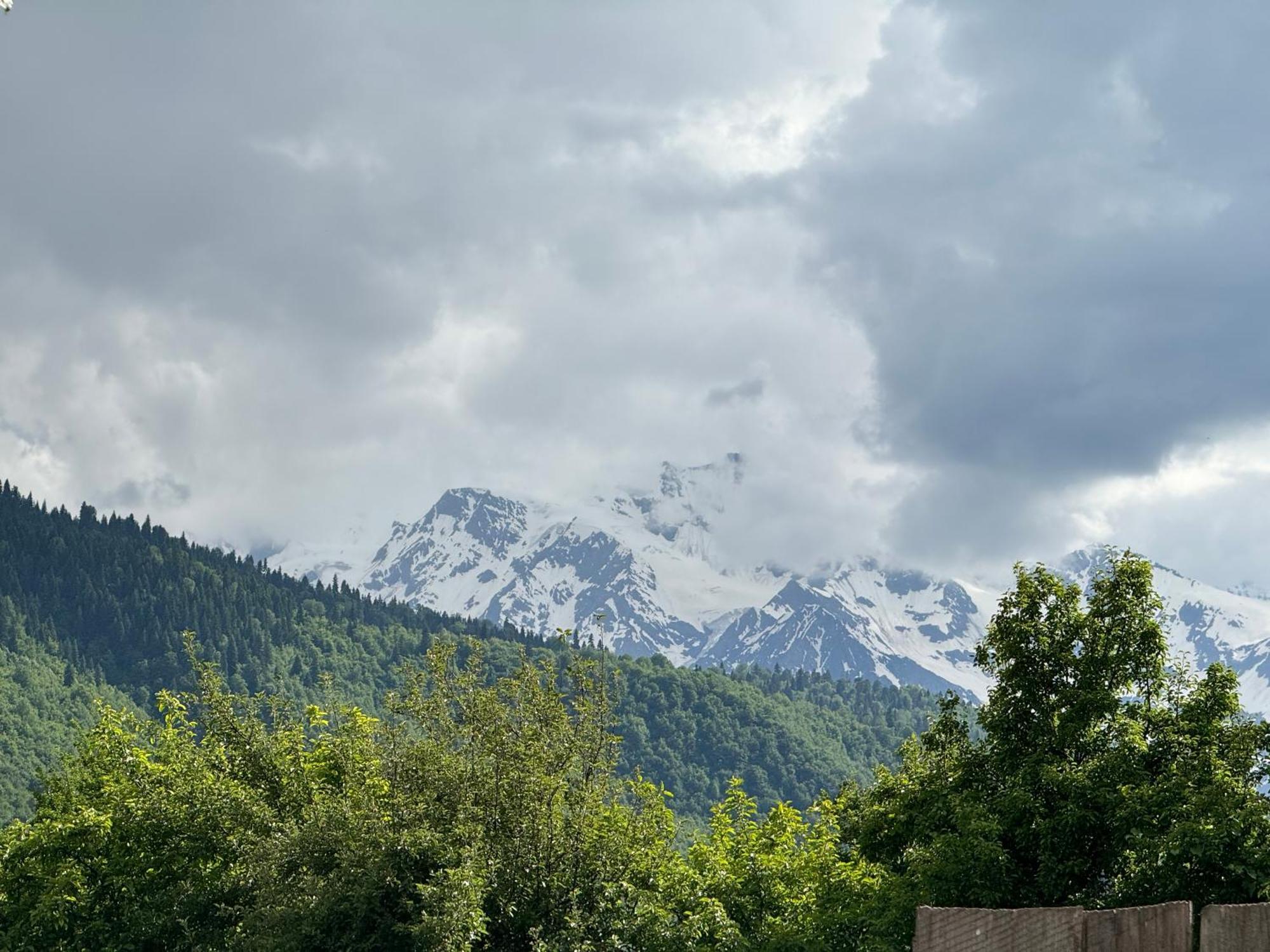 Barbara'S Eco-Cozy Guesthouse Mestia Dış mekan fotoğraf