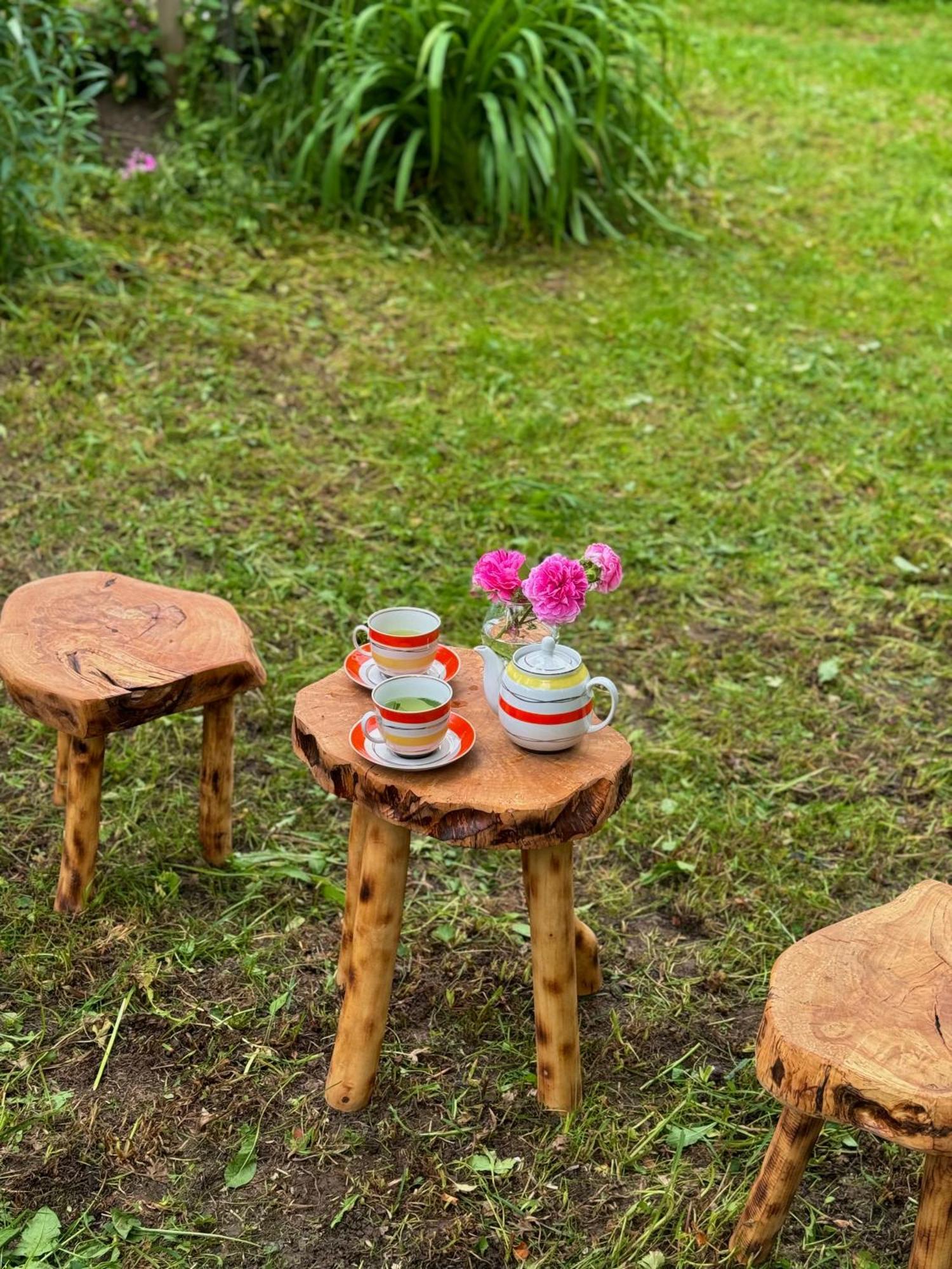 Barbara'S Eco-Cozy Guesthouse Mestia Dış mekan fotoğraf