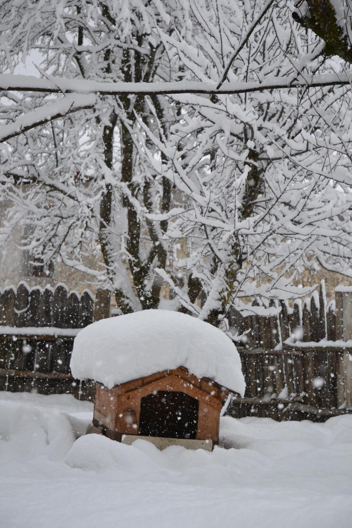 Barbara'S Eco-Cozy Guesthouse Mestia Dış mekan fotoğraf